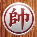 betpix casino截图